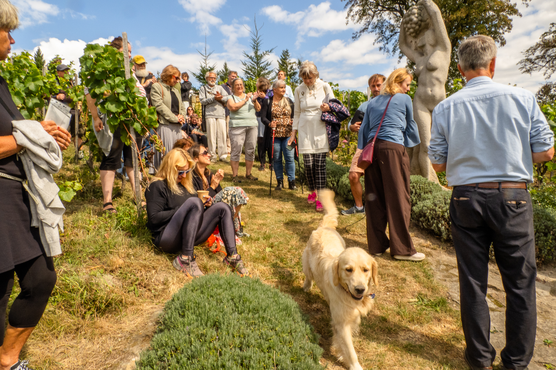 2025-08-23_161.jpg (2.54 MB)