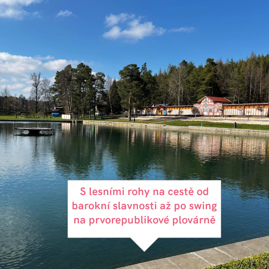 V&yacute;let 10 plov&aacute;rna.png (1.45 MB)